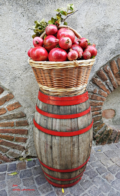 Farben im Herbst