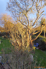 jardin samedi soir 15 mars 2/2