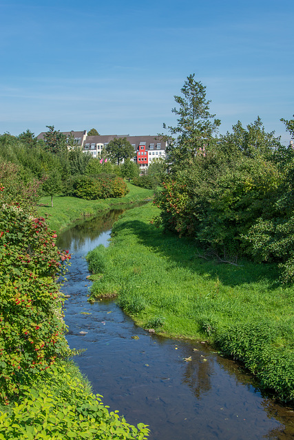 Neugestaltung des Kappelbachs entlang der Zwickauer Straße