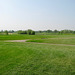 The edge of the Belfry Golf Course near Cross Green Farm