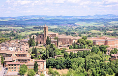 Sienne / Siena (I) 16 mai 2011.