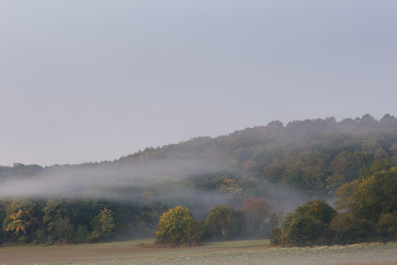 Matin brumeux