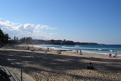 Manly Beach