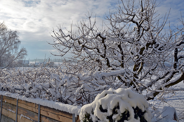 Winterruhe im Garten