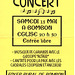Concert à Bombon le 13/05/2000