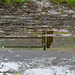 Muddy puddle Landscape reflection