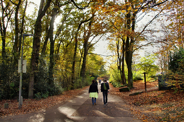 Weg nahe Tierpark (Dortmund-Brünninghausen) / 8.11.2020