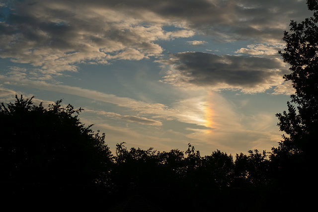 Sundog