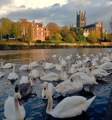 Worcester Cathedral Worcester Cathedral