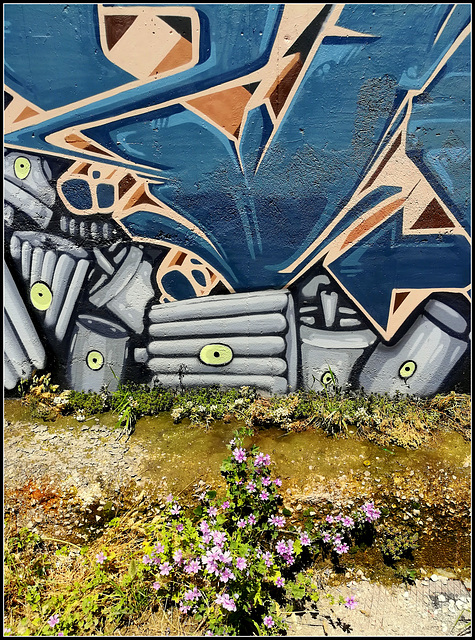 More street art and the last of the spring mallow.