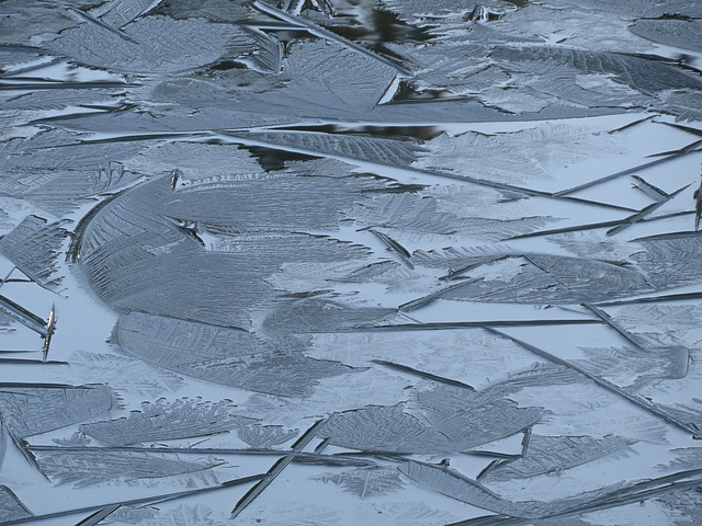 Ice on pond