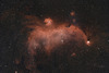 Seagull Nebula IC2177