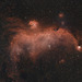 Seagull Nebula IC2177
