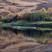 A Dovestones Autumn