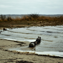 La grande traversée .