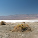 Bad Water Basin