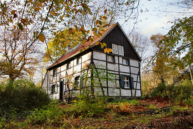 Fachwerkhaus am Rombergpark (Dortmund-Brünninghausen) / 8.11.2020