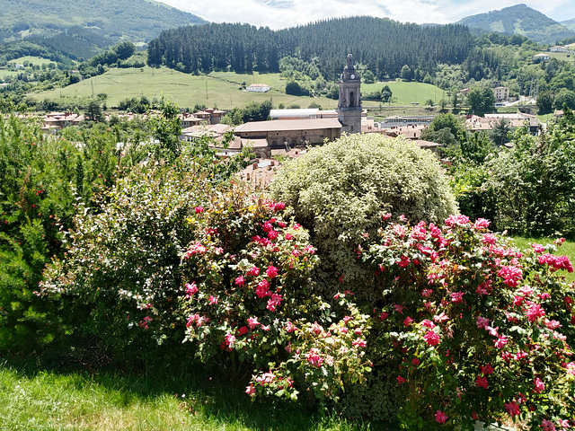 Oñate (Guipúzcoa), 27