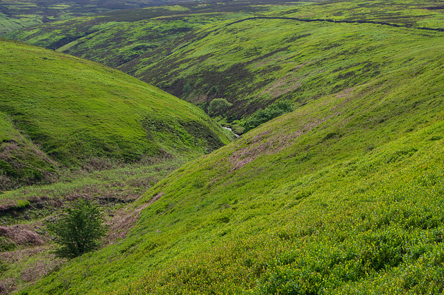 Bray Clough - lower angle view no sky