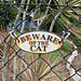 I Did Not See a Tiger 0233