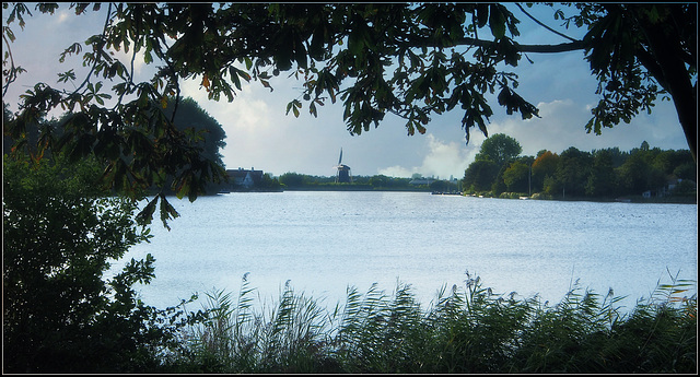 Binnen Maas near Maasdam.