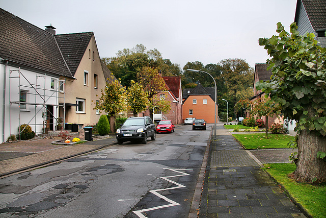 Lohbuschstraße (Waltrop) / 2.11.2017