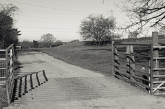 Scene with Cattle Grid