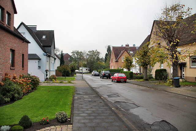 Lohbuschstraße (Waltrop) / 2.11.2017