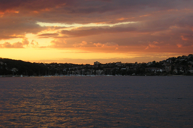 Manly At Sunset
