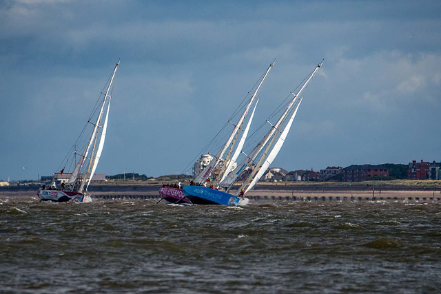 Clipper race17