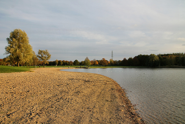 Am Strand des Horstmarer Sees (Seepark Lünen) / 27.10.2019