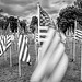 June 2020 - Storm Clouds Over America