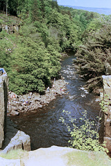 River Tees (62 02)