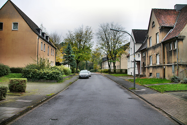 Feldstraße (Waltrop) / 2.11.2017