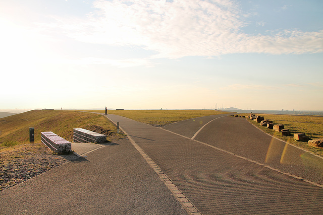 Auf dem Plateau (Halde Hoheward, Herten) / 15.10.2018