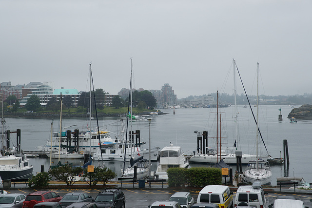 Victoria Harbour In The Rain