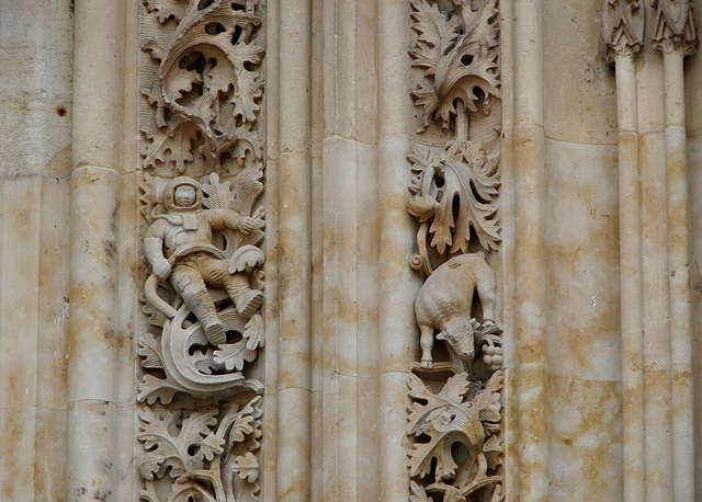 Santa Basilica Catedral