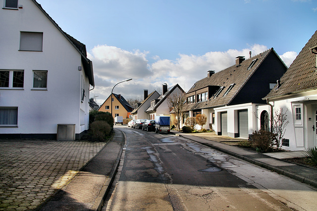 Nordhang (Gevelsberg-Silschede) / 25.02.2023