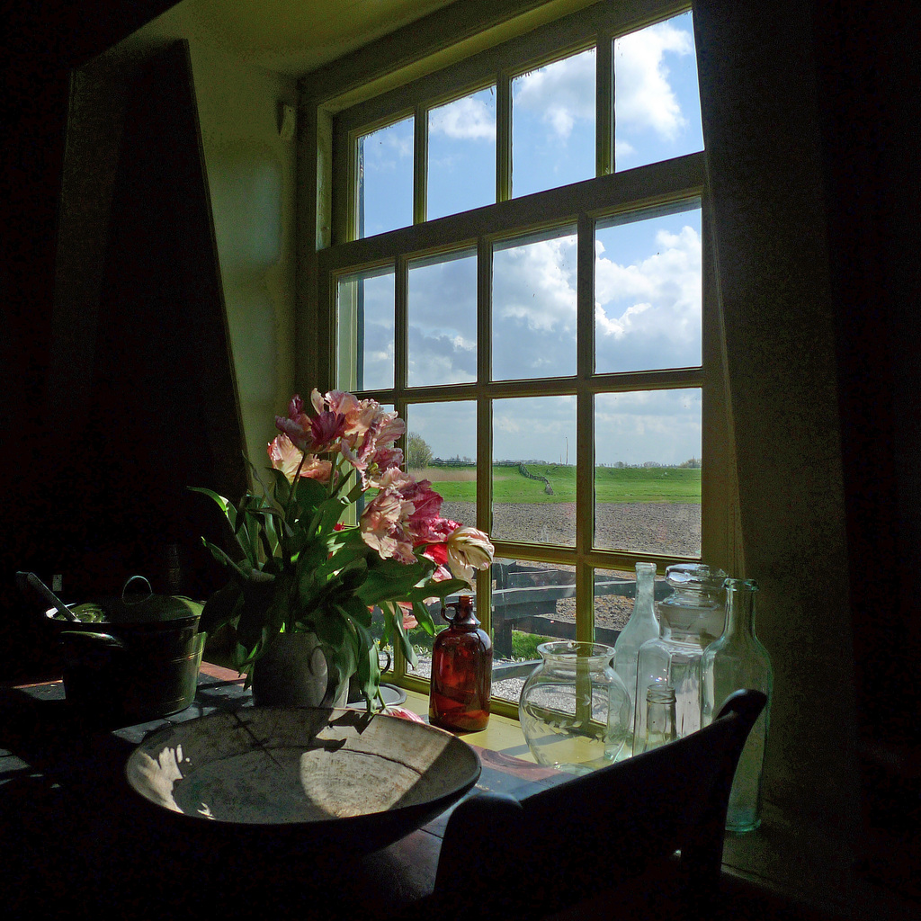 Nederland - Schermerhorn, Museummolen