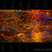 Joyeux Noël + Happy X-Mas + Frohe Weihnachten + Felices Navidades + Vrolijk kerstfeest to all !