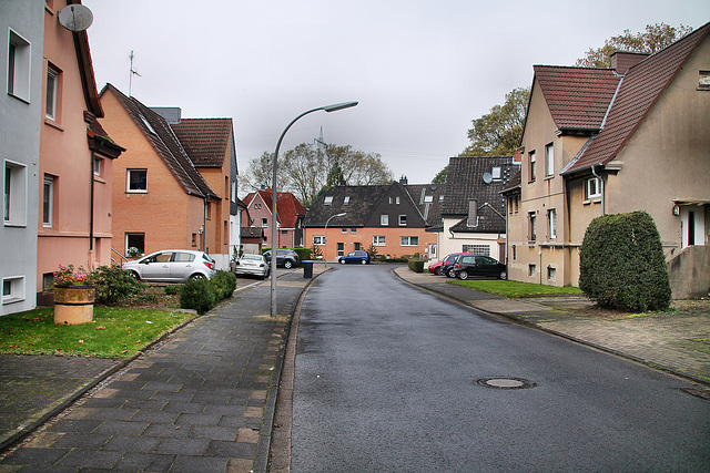 Feldstraße (Waltrop) / 2.11.2017