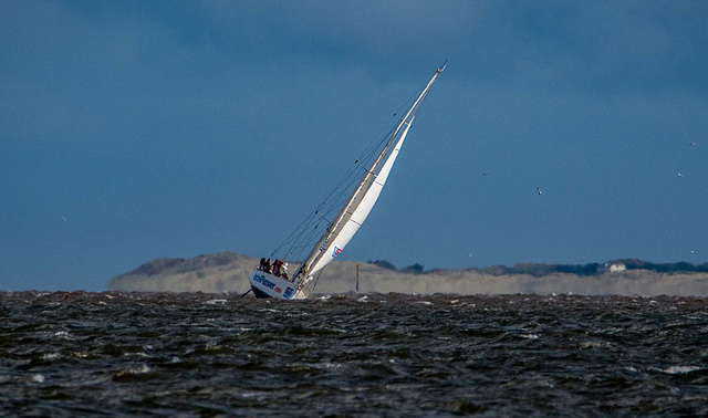 Clipper race19