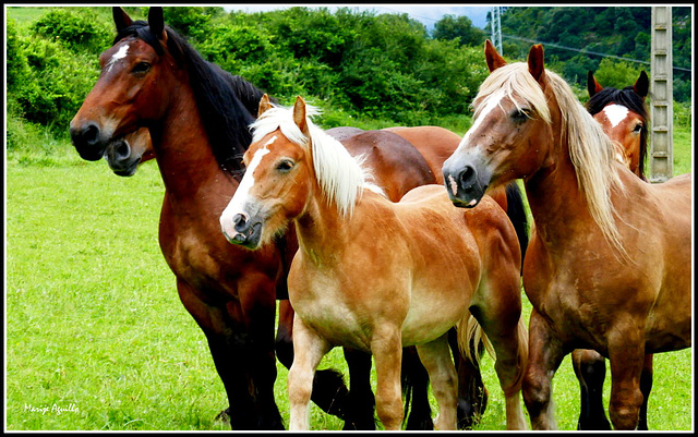 En familia