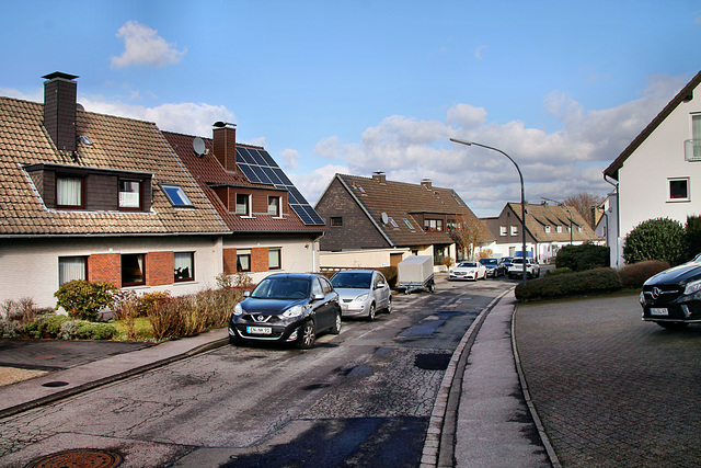 Nordhang (Gevelsberg-Silschede) / 25.02.2023