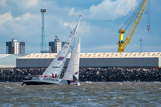 Clipper race20