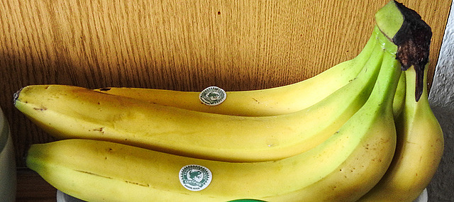 20200316 6900CPw [D~LIP] Bananen, Bad Salzuflen