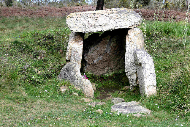 Necropolis of El Monte Areo