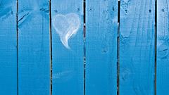 Blue fence