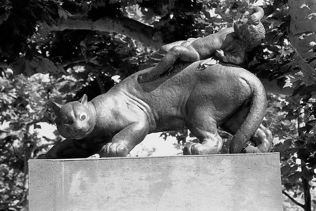 20.06.21 Ilford SFX 25 Mathildenhöhe Panther