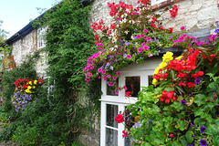 Flowers In Avebury